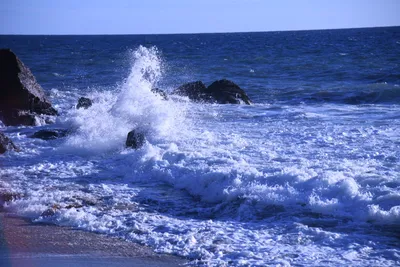 DSC_0565 (Large).JPG